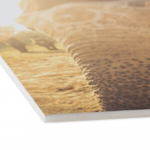 White Foam Board 10mm - 1220mm x 2440mm (48 x 96) - Pkd 13