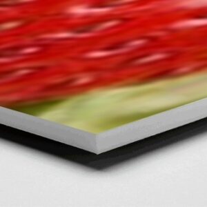 White Foam Board 10mm - 1188mm x 841mm - A0 - Pkd 5